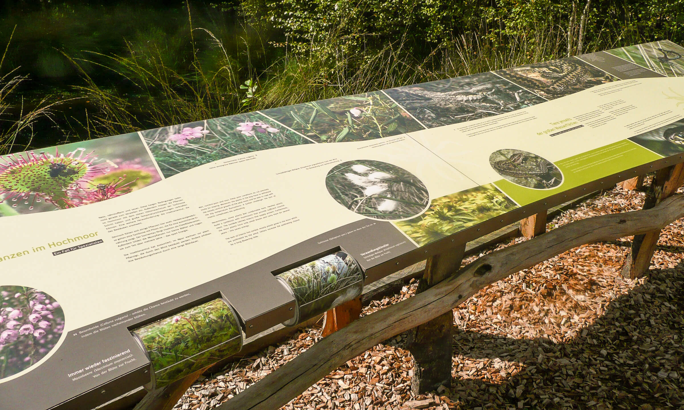 Eine lange Pult-Tafel mit vielen Infotexten und Fotos zur Entstehung des Moors und der Moor-Landschaft. Die Pult-Tafel ist sehr bunt.